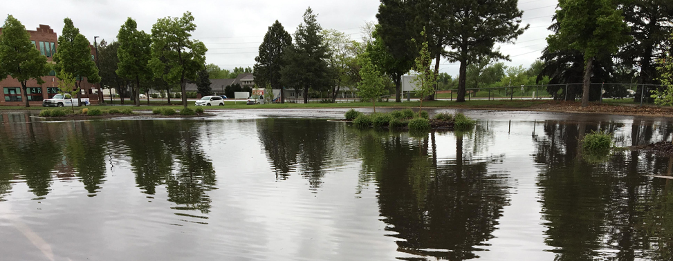 Photo of a parking lot flooded with water about shin-high. Trees, a building, and parked cars are located in the backgorund.