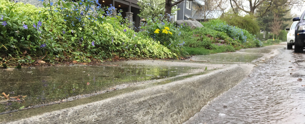 Photo of stormwater flowing in the curbside gutter of a residential street.